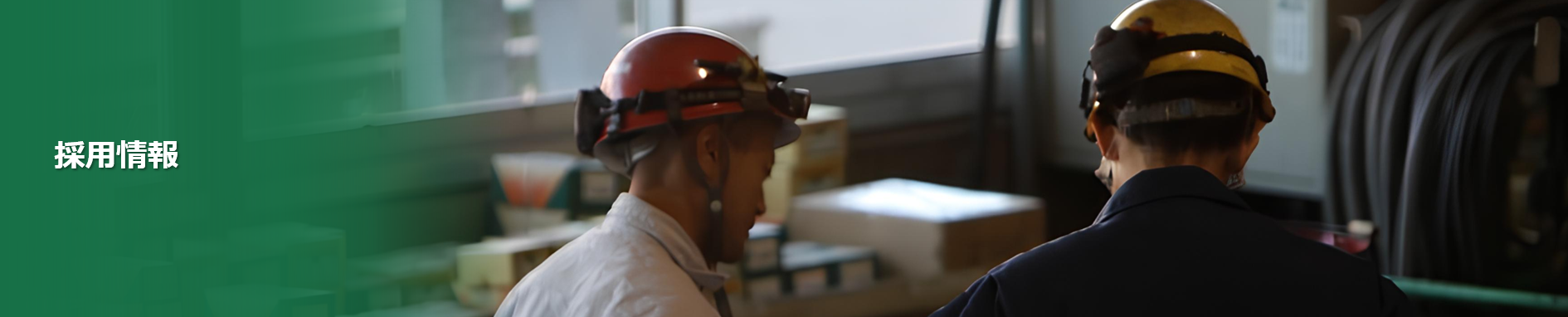 採用情報